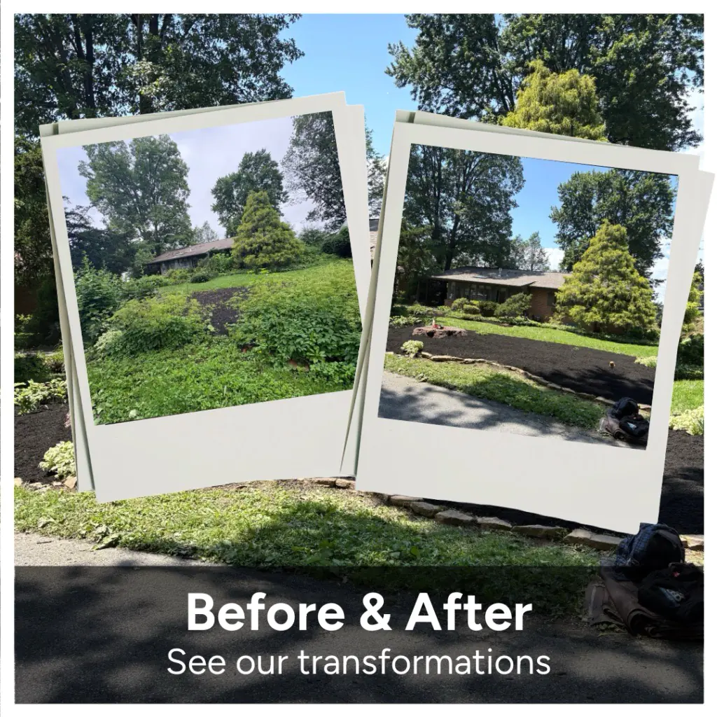 before and after graphic