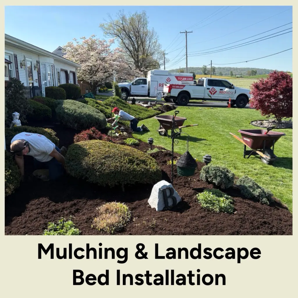 mulching & landscape bed installation