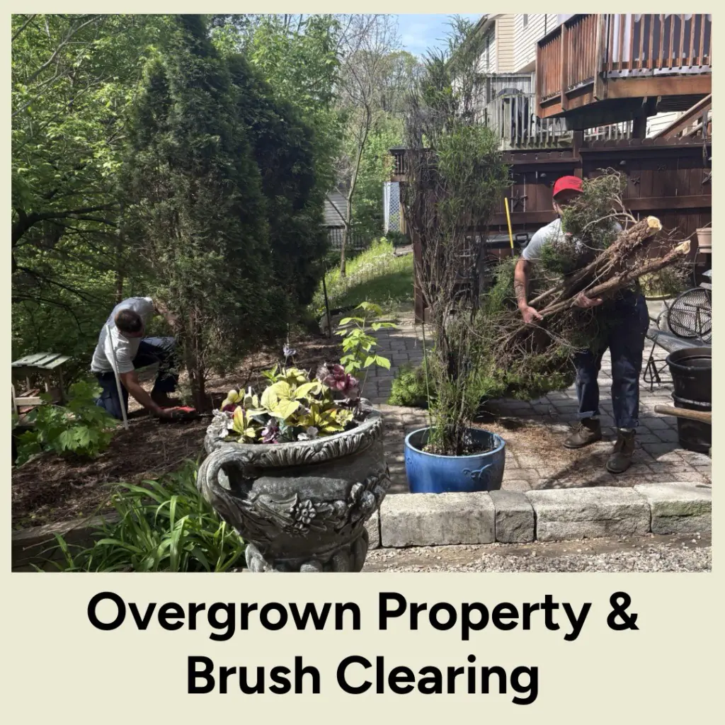 brush clearing