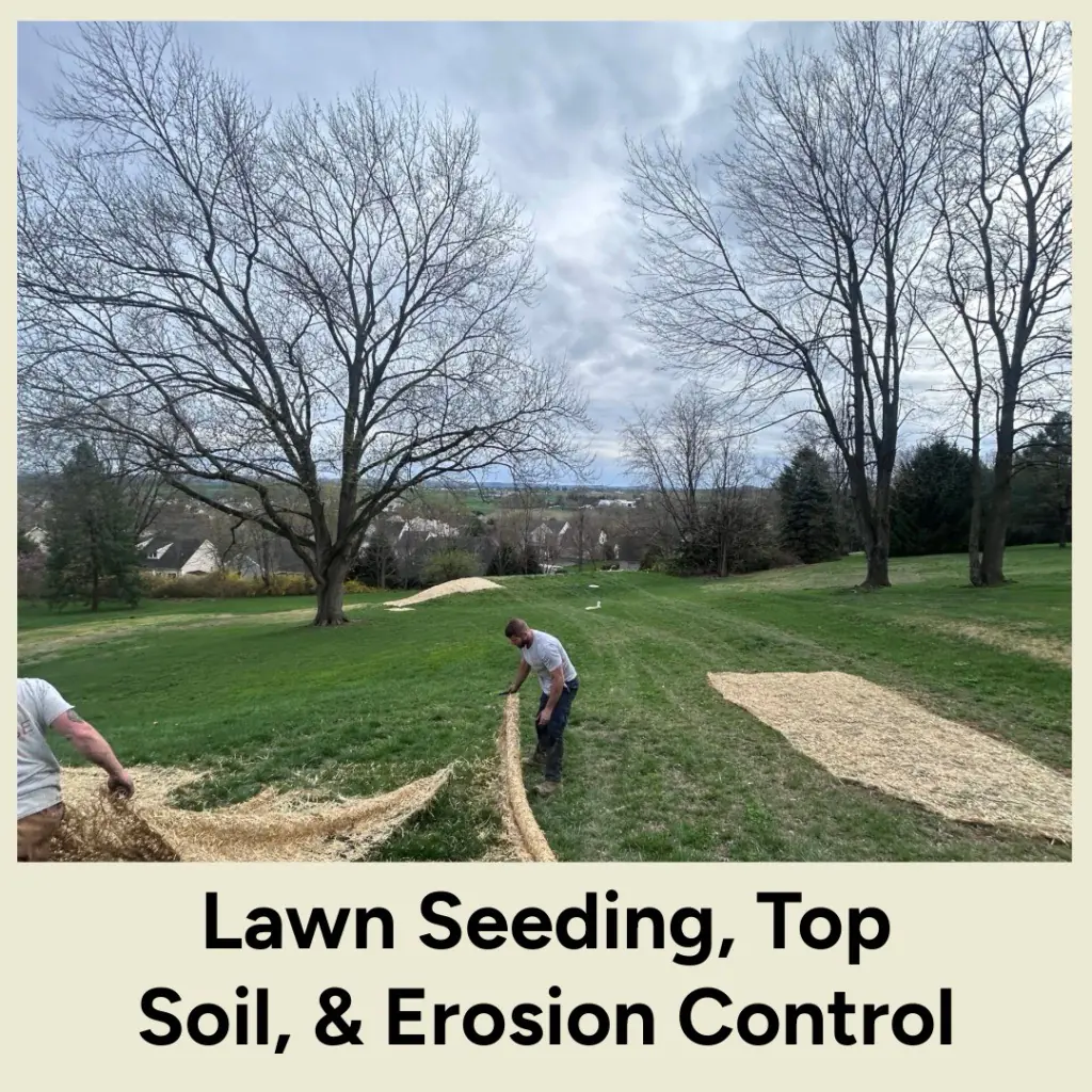 Lawn seeding, top soil, & erosion control